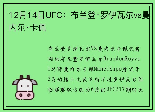 12月14日UFC：布兰登·罗伊瓦尔vs曼内尔·卡佩